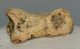 Ursus spelaeus toe bone (32 mm)