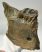 Mammuthus meridionalis partial jaw (2450 grams)