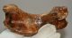 Pagophilus groenlandicus Seal humerus bone (113 mm)