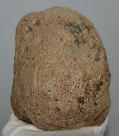 Mammuthus meridionalis patella bone (1305 grams)