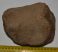 Mammuthus meridionalis patella bone (1305 grams)