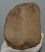 Mammuthus meridionalis patella bone (1305 grams)