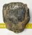 Mammuthus meridionalis partial tooth (722 grams) Mammuthus meridionalis partial tooth (722 grams)