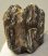 Mammuthus meridionalis partial tooth (722 grams) Mammuthus meridionalis partial tooth (722 grams)