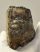 Mammuthus meridionalis partial tooth (722 grams) Mammuthus meridionalis partial tooth (722 grams)