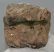 Mammuthus meridionalis partial tooth (791 grams)