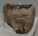 Mammuthus meridionalis részleges fog (525 gramm)