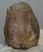 Mammuthus meridionalis részleges fog (1002 gramm) ELFOGYOTT (M) 06