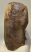 Mammuthus primigenius tooth (1532 grams) Woolly Mammoth