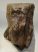 Mammuthus primigenius tooth (1532 grams) Woolly Mammoth