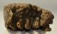 Mammuthus primigenius tooth (1532 grams) Woolly Mammoth