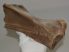 Equus sp. partial scapula bone