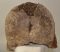 Mammuthus primigenius partial vertebra ((1521 grams)