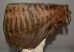 Mammuthus primigenius tooth ( 2674 grams) Woolly Mammoth