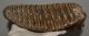 Mammuthus primigenius tooth ( 2674 grams) Woolly Mammoth