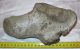 Fiatal mamut calcaneus csontja (904 gramm)