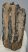 Mammuthus meridionalis részleges fog (1643 gramm)