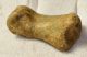 Ursus spelaeus toe bone (35 mm)