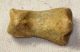 Ursus spelaeus toe bone (35 mm)