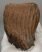 Mammuthus primigenius partial tooth (578 grams)