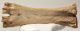 Bison priscus metacarpus bone (273 mm)