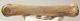 Bison priscus metacarpus bone (273 mm)