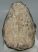Mammuthus meridionalis partial tooth (1395 grams) Mammuthus meridionalis partial tooth (1395 grams)