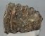 Mammuthus meridionalis partial tooth (1395 grams) Mammuthus meridionalis partial tooth (1395 grams)