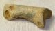  Ursus spelaeus toe bone (41 mm) proximal phalanges