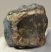 Mammuthus meridionalis partial tooth (1001 grams) SOLD (E) 10
