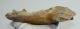 Mammuthus primigenius részleges állkapocs csont (207 mm)