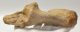 Bison priscus partial calcaneus bone