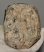 Mammuthus meridionalis partial tooth (1810 grams) SOLD (J) 09 Mammuthus meridionalis partial tooth (1810 grams) SOLD (J) 09