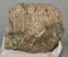 Mammuthus meridionalis partial tooth (1810 grams) SOLD (J) 09 Mammuthus meridionalis partial tooth (1810 grams) SOLD (J) 09