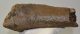 Stephanorhinus sp. Rhiniceros partial tibia bone SOLD (JS) 04