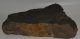  Komlosaurus carbonis footprint fossil (16 Kg)