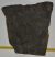 Komlosaurus carbonis footprint fossil (16 Kg)