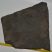  Komlosaurus carbonis footprint fossil (16 Kg)