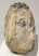 Mammuthus sp. partial tooth (1544 grams)