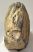 Mammuthus sp. partial tooth (1544 grams)