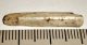 Rapetosaurus krausei tooth from Madagascar