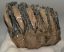 Mammuthus meridionalis partial tooth (992 grams) SOLD (E) 10 Mammuthus meridionalis partial tooth (992 grams) SOLD (E) 10