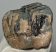 Mammuthus meridionalis partial tooth (992 grams) SOLD (E) 10 Mammuthus meridionalis partial tooth (992 grams) SOLD (E) 10