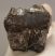 Lophiodon lautricense partial upper tooth from France