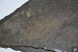 25 Dactyloceras ammonite stone slabs from Ohmden