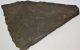 25 Dactyloceras ammonite stone slabs from Ohmden