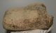 Mammuthus meridionalis partial astragalus bone (2219 grams)