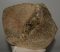 Mammuthus meridionalis partial astragalus bone (2219 grams)