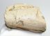 Mammuthus meridionalis részleges agyar (348 gramm)  ELFOGYOTT (LL B) 06
