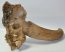 Bison priscus partial skull (614 mm)